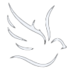 Dove